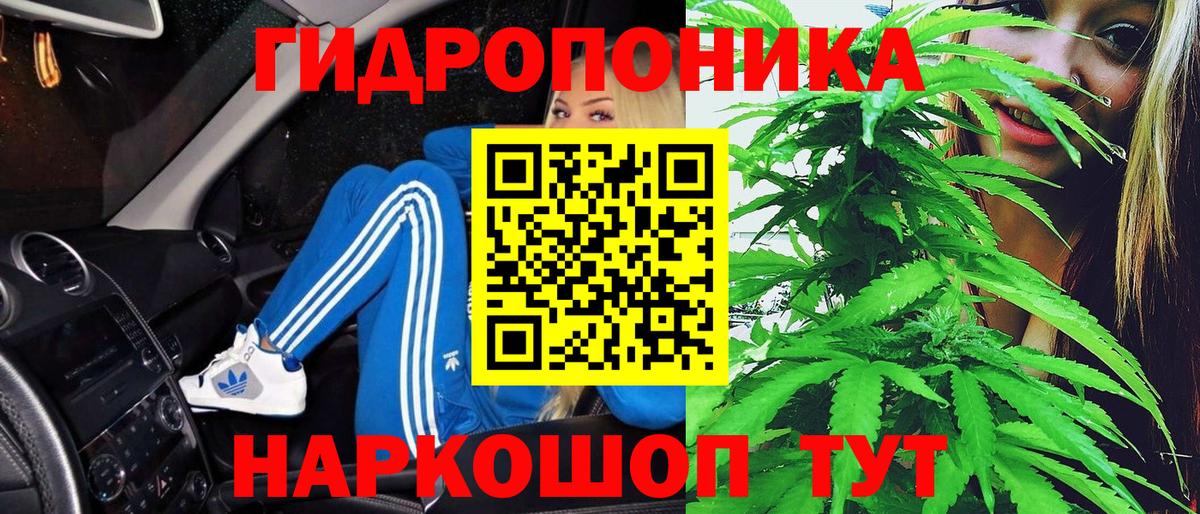 Шишки марихуана марихуана Свободный